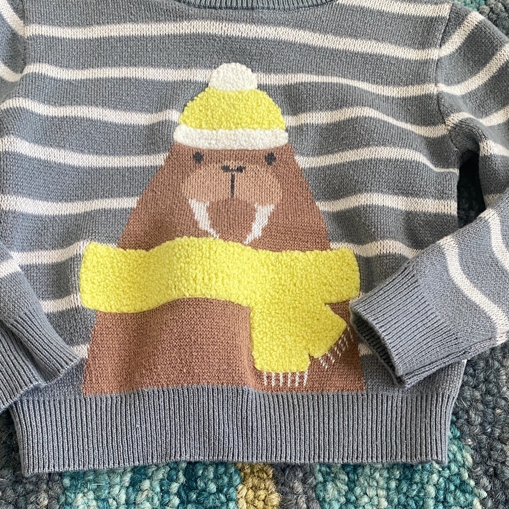 Little Sleepies Walrus Striped Long Sleeve Sweater 6-12 months